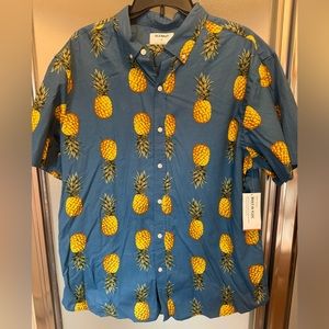 Button down collared shirt